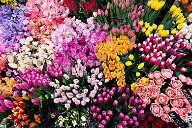 某组织怎么这么坏！Steam确认Paypal取消支付支持源自平台上存在成人内容